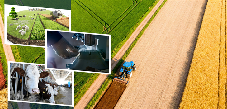 Desteklemeler Ödeniyor